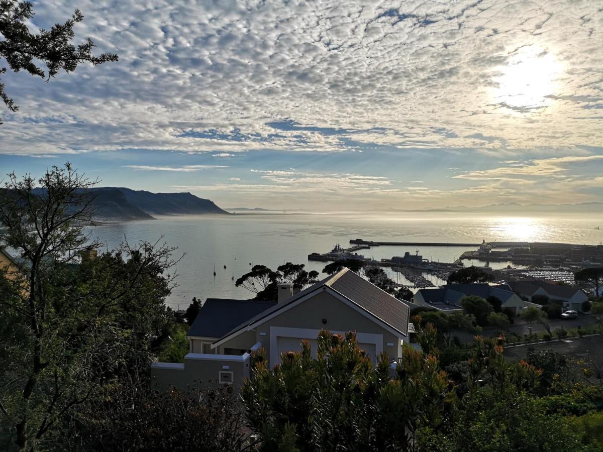 Albatross Guest House Simon's Town Luaran gambar