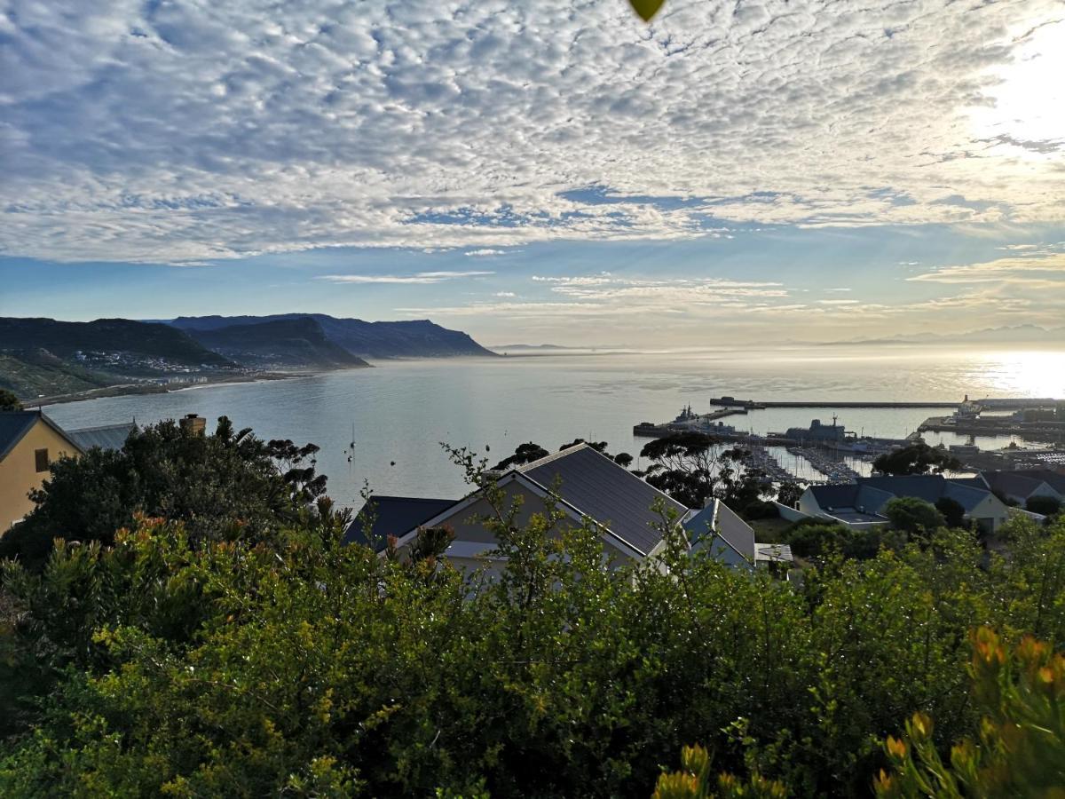 Albatross Guest House Simon's Town Luaran gambar